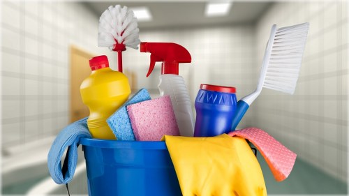 Carpet cleaning team reviewing a customer complaint form