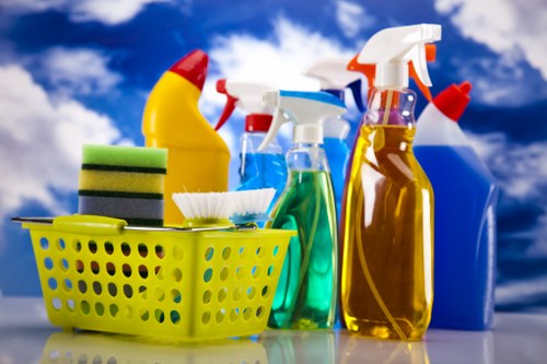A cleaner carrying out regular home cleaning in a Hackney flat
