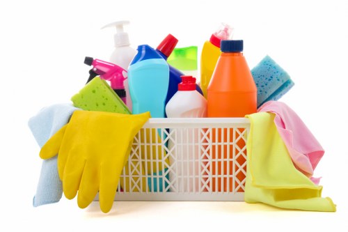 Pet stain odour removal service in a Hackney home carpeted room