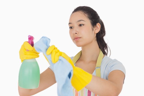 Local facade cleaning process for homes and businesses