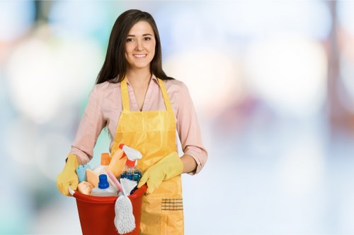 Domestic cleaning support for a bathroom in Hackney