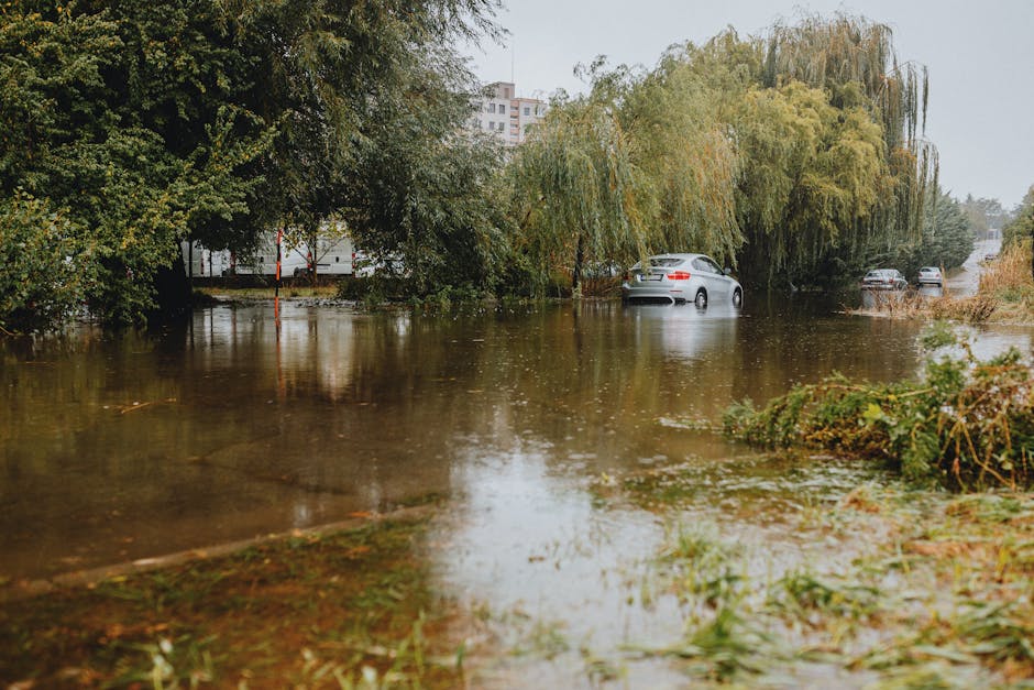 A flooded street with several cars partially submerged in water, surrounded by flooded trees and bushes. The water level has risen to cover the lower parts of the vehicles, with reflections visible on the surface. The scene appears overcast with natural daylight, highlighting the extent of flood damage in the area. This image illustrates the impact of severe weather conditions on urban environments, emphasizing the importance of effective flood management and property protection, such as professional flood carpet cleaning services offered by Carpet Cleaners Hackney at https://carpetcleanershackney.co.uk for restoring hygiene and safety after flooding incidents.