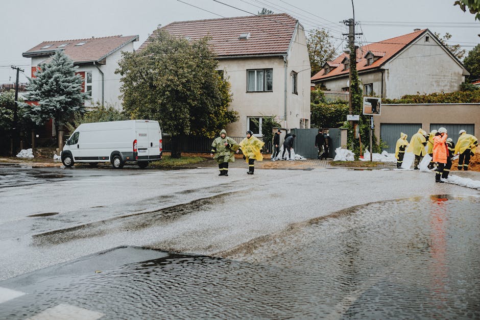 A flooded street with several cars partially submerged in water, surrounded by flooded trees and bushes. The water level has risen to cover the lower parts of the vehicles, with reflections visible on the surface. The scene appears overcast with natural daylight, highlighting the extent of flood damage in the area. This image illustrates the impact of severe weather conditions on urban environments, emphasizing the importance of effective flood management and property protection, such as professional flood carpet cleaning services offered by Carpet Cleaners Hackney at https://carpetcleanershackney.co.uk for restoring hygiene and safety after flooding incidents.